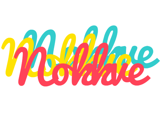 Nokkve disco logo
