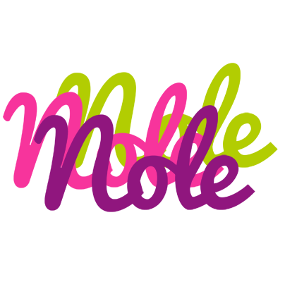 Nole flowers logo