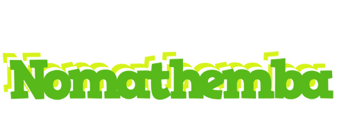 Nomathemba picnic logo