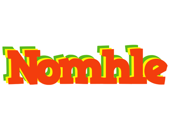 Nomhle bbq logo