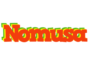 Nomusa bbq logo