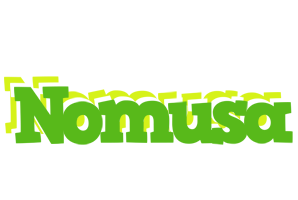 Nomusa picnic logo