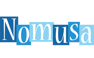 Nomusa winter logo
