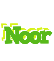 Noor picnic logo