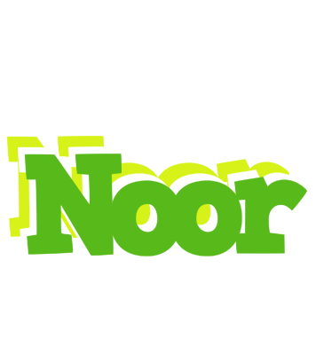 Noor picnic logo