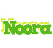 Noora picnic logo