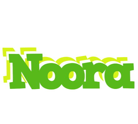 Noora picnic logo