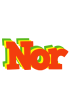 Nor bbq logo