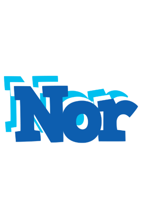 Nor business logo