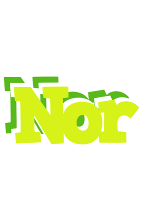 Nor citrus logo