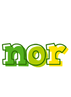 Nor juice logo