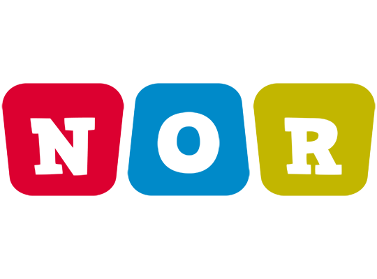 Nor kiddo logo
