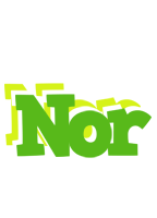 Nor picnic logo