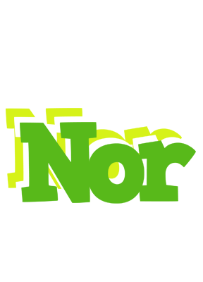Nor picnic logo