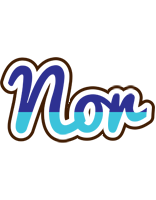 Nor raining logo