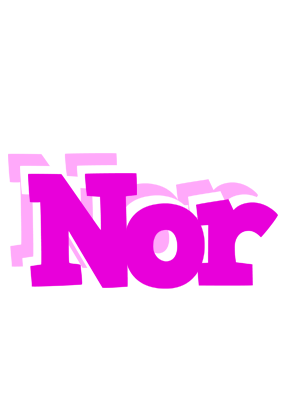 Nor rumba logo