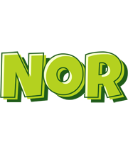 Nor summer logo