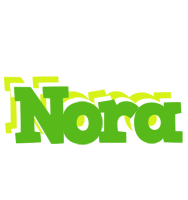 Nora picnic logo