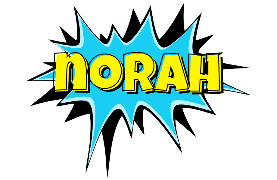 Norah amazing logo