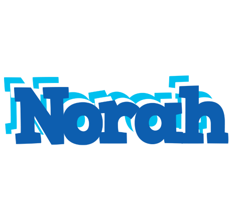 Norah business logo