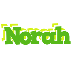 Norah picnic logo