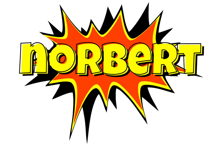 Norbert bazinga logo