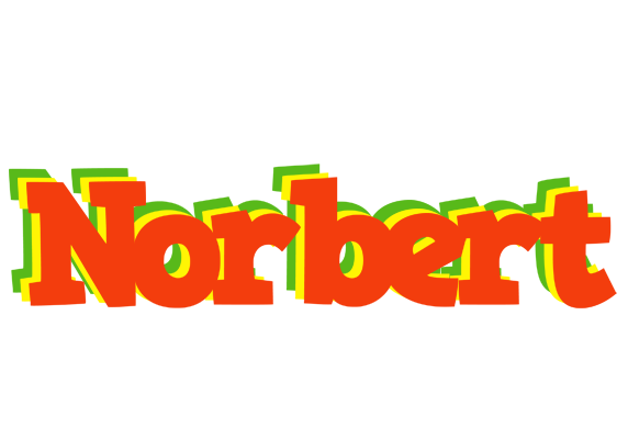 Norbert bbq logo