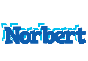 Norbert business logo