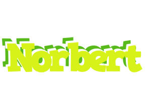 Norbert citrus logo