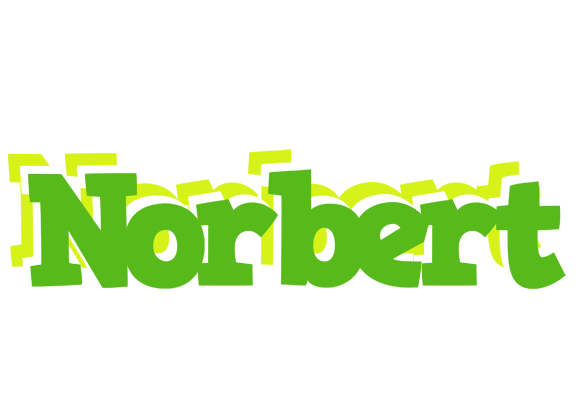 Norbert picnic logo