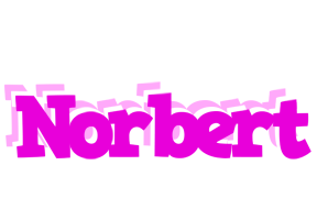 Norbert rumba logo