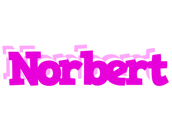 Norbert rumba logo