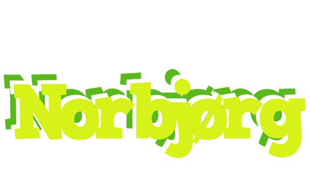 Norbjørg citrus logo