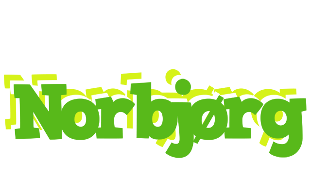 Norbjørg picnic logo