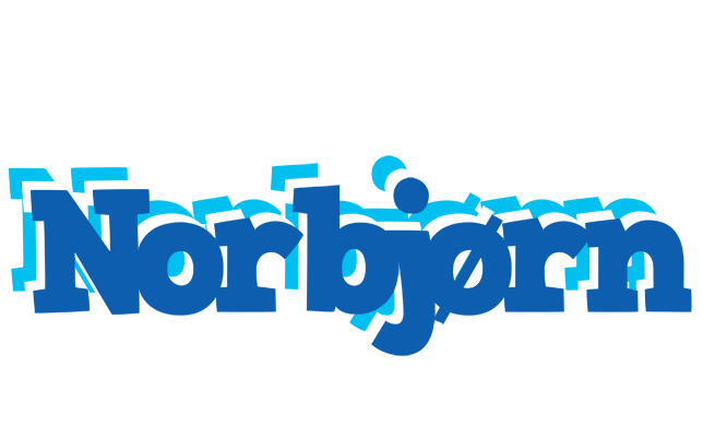 Norbjørn business logo