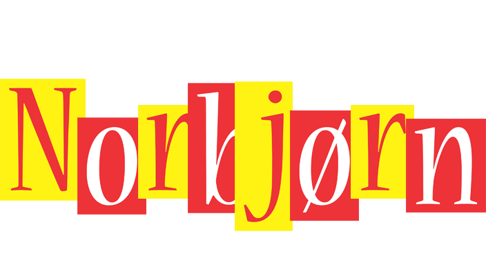 Norbjørn errors logo