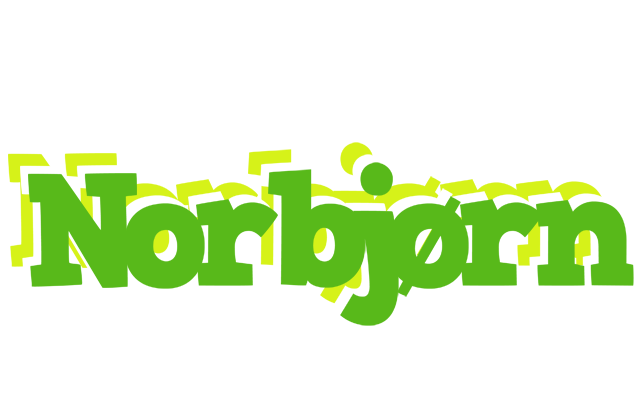 Norbjørn picnic logo