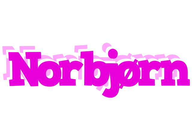 Norbjørn rumba logo