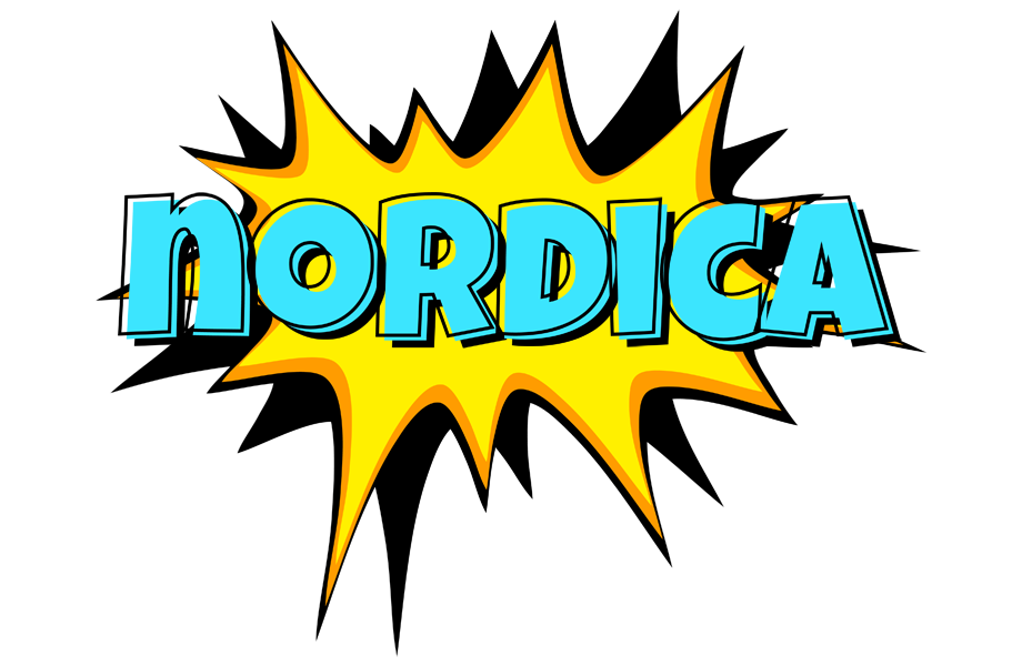 Nordica indycar logo