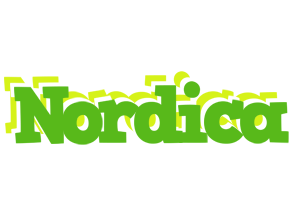 Nordica picnic logo