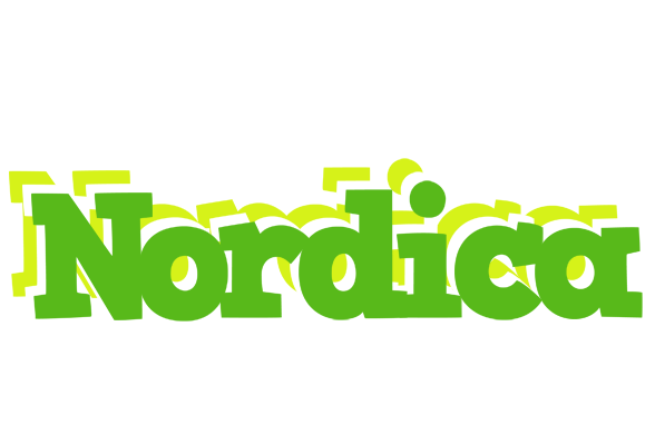Nordica picnic logo