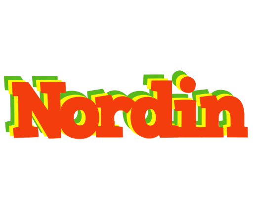 Nordin bbq logo