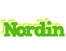 Nordin picnic logo