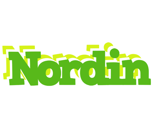 Nordin picnic logo