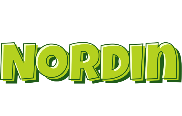 Nordin summer logo