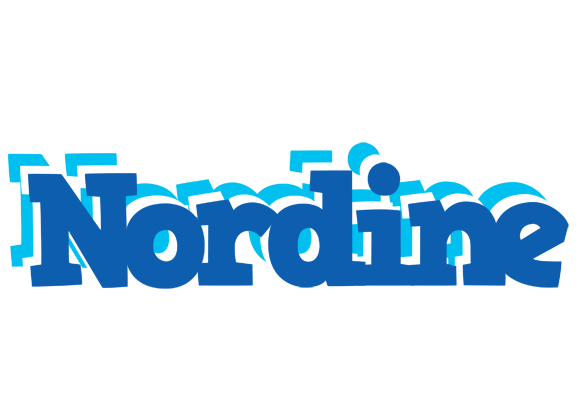 Nordine business logo