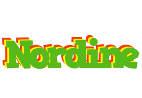 Nordine crocodile logo