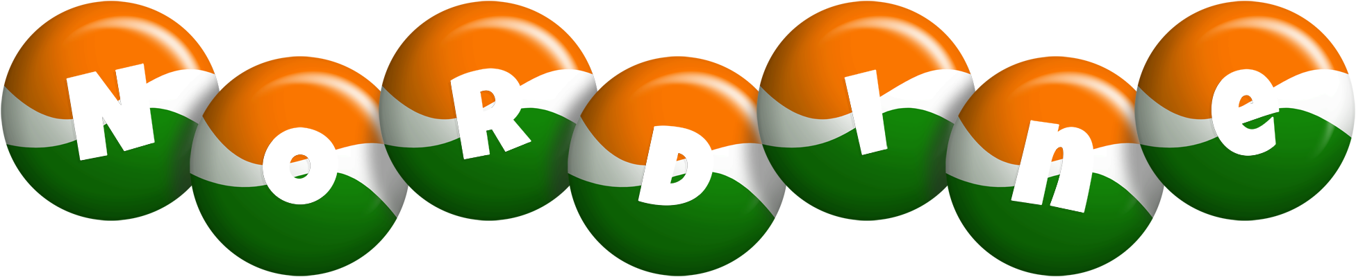 Nordine india logo