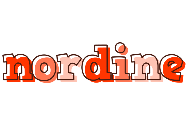Nordine paint logo