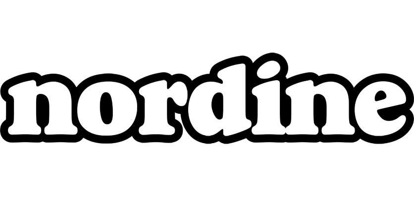 Nordine panda logo